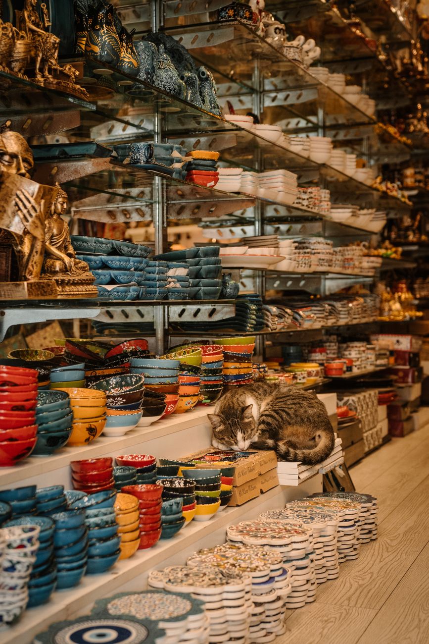 charming turkish bazaar with sleeping cat